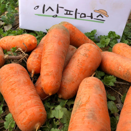 26년 국내산 제주구좌 경남 강원도 햇 흙당근 못난이 왕, 1kg, 1개