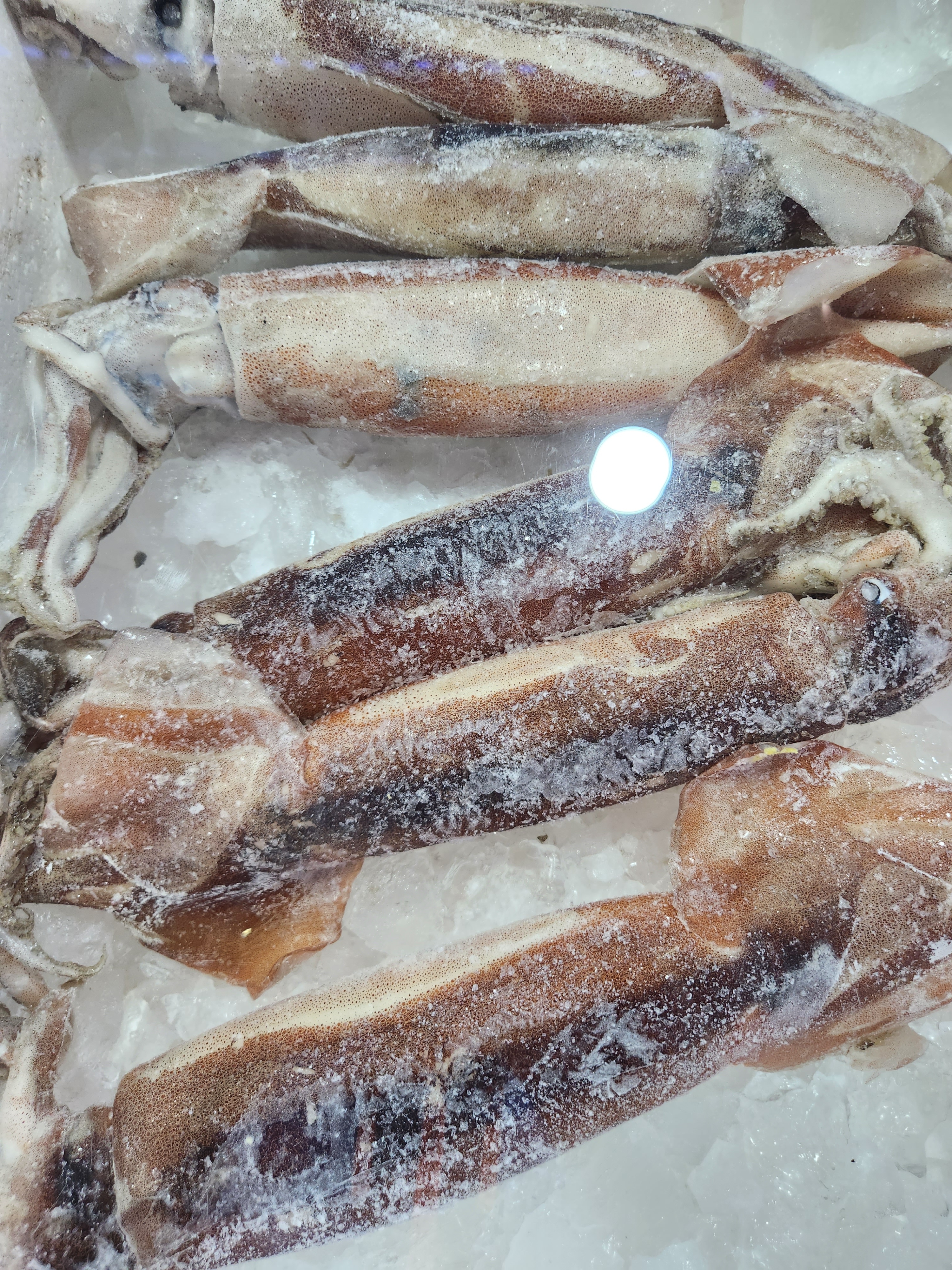 오징어 3마리 마리당 200g 국거리 볶음 - 상세 이미지 2