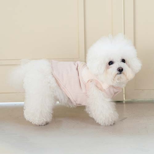 강아지패딩 강아지겨울옷 로이패딩조끼+실내복