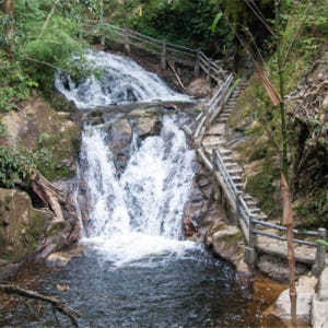 사파  러브 폭포 & 실버 폭포 프라이빗 일일 투어 (사파 출발) 솔직 후기 | 실사용자 리뷰 분석 - 상품 이미지 3