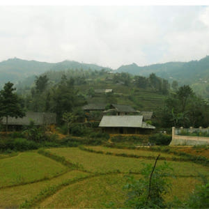 베트남 사파 박하 시장 & 반포 마을 일일 투어 (사파 출발) 솔직 후기 | 실사용자 리뷰 분석 - 상품 이미지 2