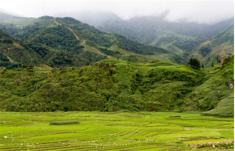 사파  마트라 & 타핀 빌리지 프라이빗 트레킹 투어 (사파 출발) 이미지 4