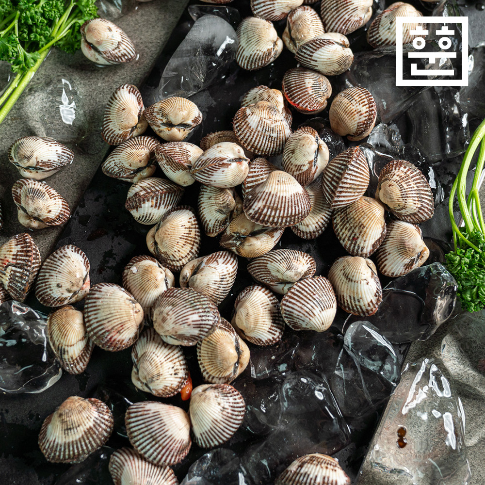 국내산 벌교 새꼬막 1kg 제철 여자만 당일조업 이미지 7