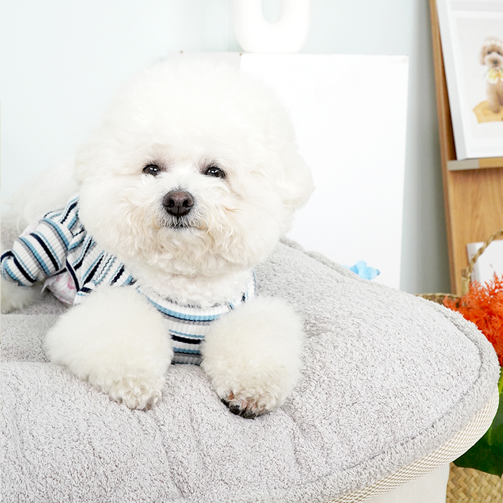 개과천선 울 메쉬 강아지 사각 방석 애견 쿠션 극세사 꿀잠 고양이 일체형 그레이 특대형 - 상세 이미지 3