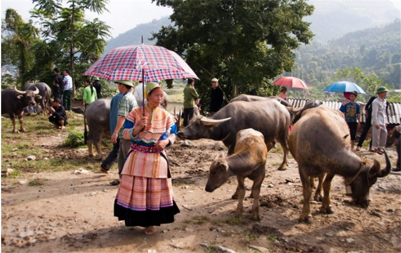베트남 사파 박하 시장 & 반포 마을 일일 투어 (사파 출발) 이미지 3