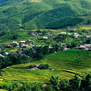 사파 1박 2일 투어 (판시판 케이블카 또는 모아나 뷰 선택 가능 / 하... 솔직 후기 | 실사용자 리뷰 분석 - 상품 이미지 3