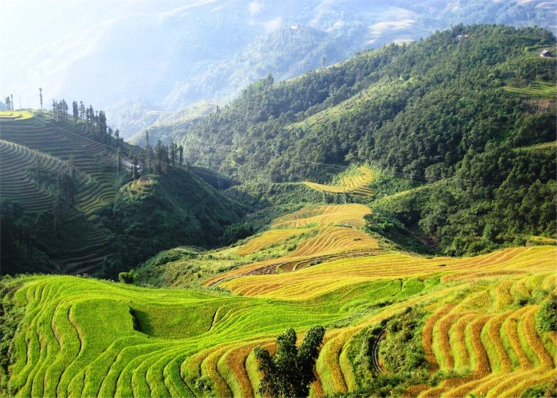 사파 1박 2일 투어 (판시판 케이블카 또는 모아나 뷰 선택 가능 / 하노이 출발) 이미지 1