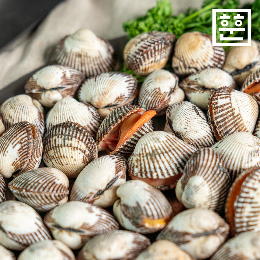 국내산 벌교 새꼬막 1kg 제철 여자만 당일조업 이미지 6