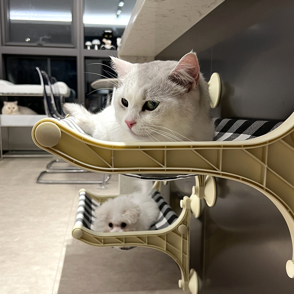 펫케어 고양이 창문 해먹 침대 코코해먹 - 상세 이미지 5