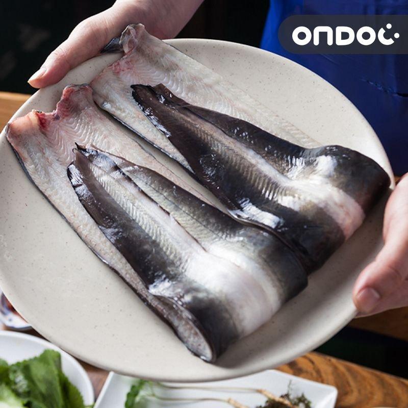 [갤러리아] [온도씨]고창 풍천 민물장어 3kg 9마리(6-9인분) : 갤러리아백화점