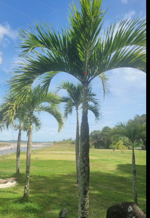 [필리핀골프여행] 클락 뉴아시아무제한  골프여행5일 2인출발 이미지 2