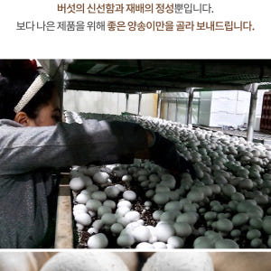 [농가직송]국내산 부여 양송이버섯 특품2kg 맛있게 먹은 솔직 후기 - 상품 이미지 3