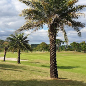 [필리핀골프여행] 클락 뉴아시아무제한  골프여행5일 2인출발 솔직 후기 | 실사용자 리뷰 분석 - 상품 이미지 3