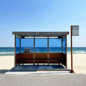 서울 출발 방탄소년단 촬영 해변 투어 : BTS 버스 정류장, 버터 비치 솔직 후기 | 실사용자 리뷰 분석 - 상품 이미지 1