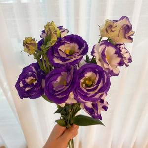 리시안셔스 랜덤 반단 꽃다발 생화택배 양재꽃시장 꽃배송 솔직 후기 | 실사용자 리뷰 분석 - 상품 이미지 4