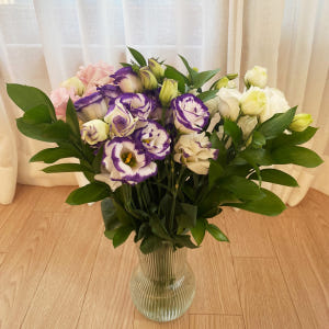 리시안셔스 랜덤 반단 꽃다발 생화택배 양재꽃시장 꽃배송 솔직 후기 | 실사용자 리뷰 분석 - 상품 이미지 3