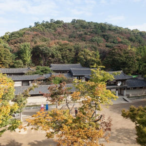 서울에서 출발 수원화성 & 민속촌 당일 투어 솔직 후기 | 실사용자 리뷰 분석 - 상품 이미지 3