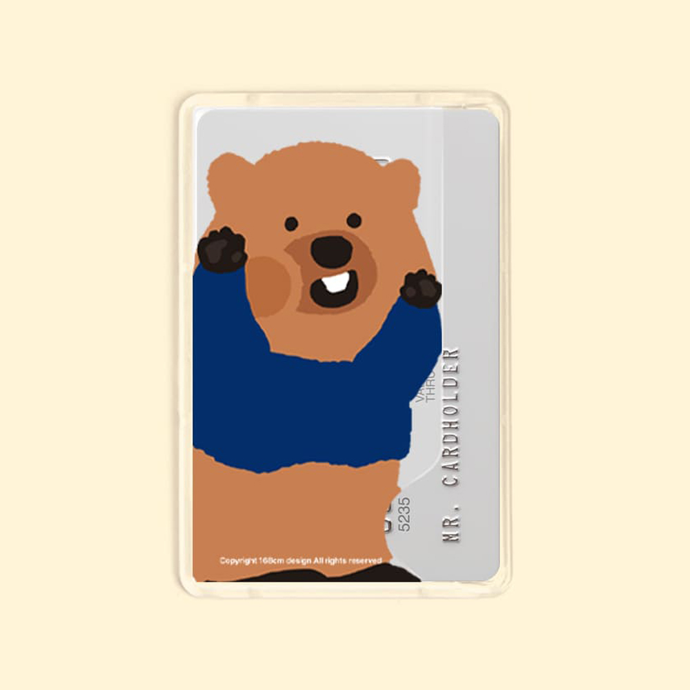 맥세이프 카드지갑 아이폰 투명 애플 베이직 볼따구 마동이