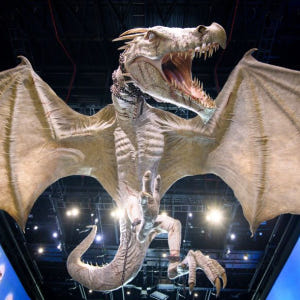 영국 런던 워너 브라더스 스튜디오 투어(왕복 교통편 포함) 솔직 후기 | 실사용자 리뷰 분석 - 상품 이미지 2