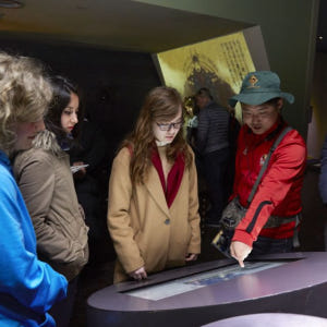서울 출발: 4박 5일 대한민국 전역, 유네스코, 문화와 자연 솔직 후기 | 실사용자 리뷰 분석 - 상품 이미지 4
