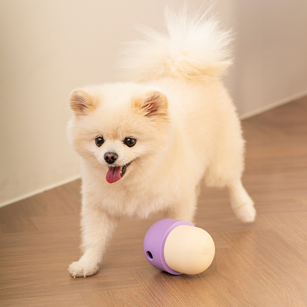 펫트리움 킁카 머쉬볼 노즈워크 장난감 분리불안