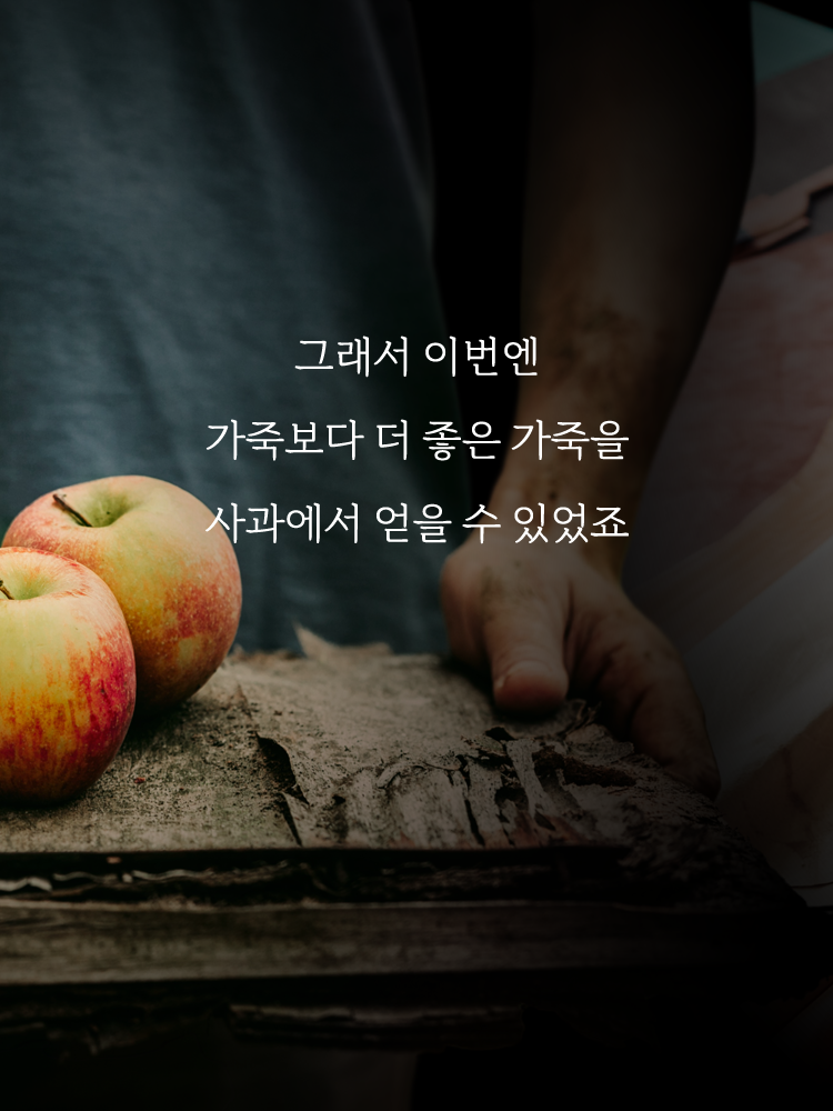 스위스 큘리 프리미엄 하네스 애플레더 에디션 - 상세 이미지 4