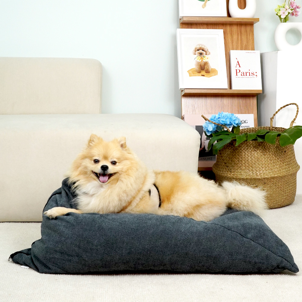 개과천선 트라이 빈백 강아지 쿠션 애견 삼각 침대 방석 꿀잠 사계절 고양이 그레이 특대형 - 메인 이미지