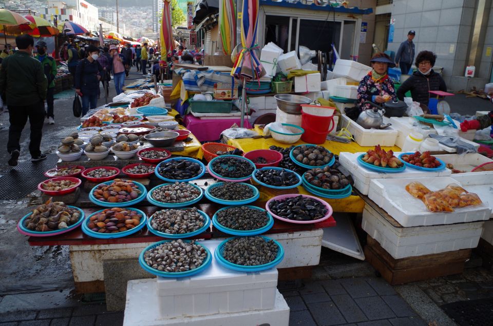 서울 출발: 4박 5일 대한민국 전역, 유네스코, 문화와 자연 이미지 2