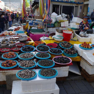 서울 출발: 4박 5일 대한민국 전역, 유네스코, 문화와 자연 솔직 후기 | 실사용자 리뷰 분석 - 상품 이미지 2