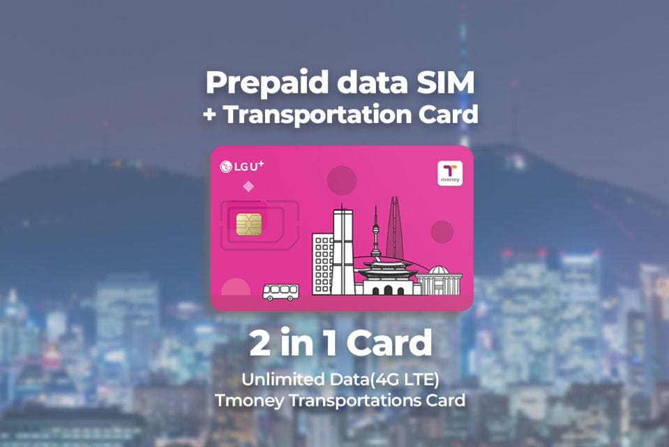 뜨거운청춘 여행자 SIM 및 티머니 교통카드