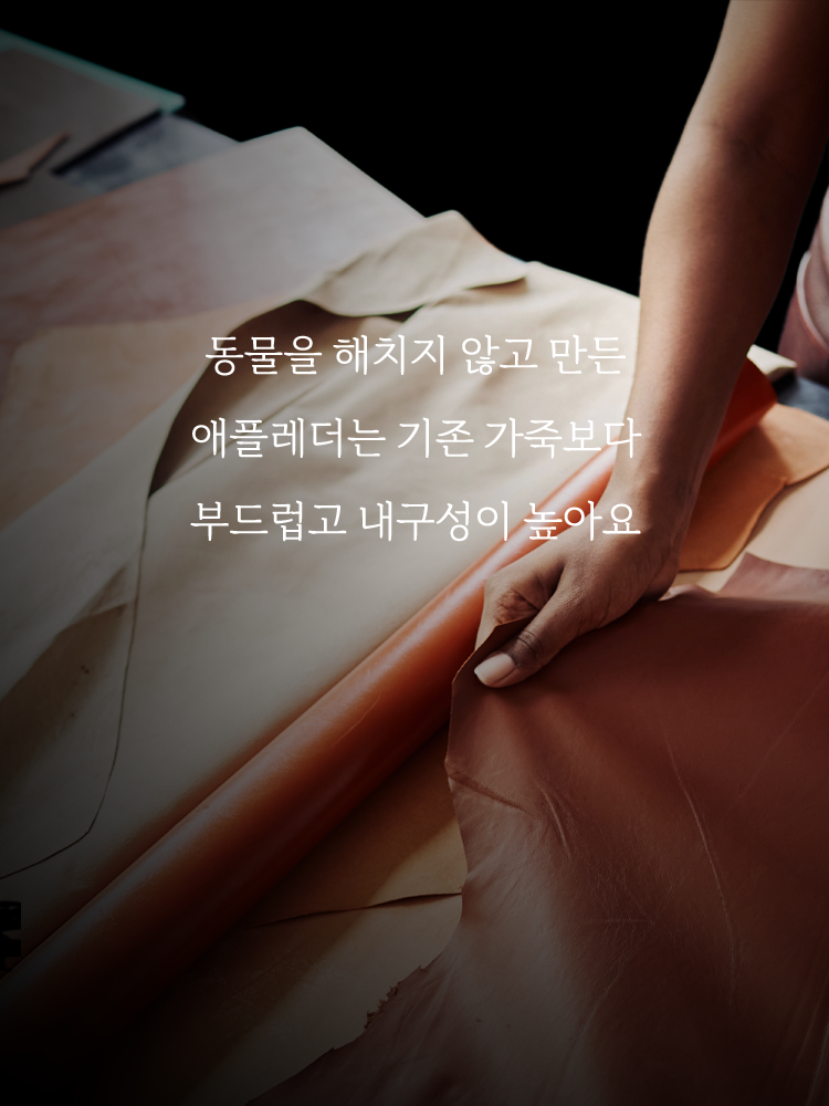 스위스 큘리 프리미엄 하네스 애플레더 에디션 - 상세 이미지 5