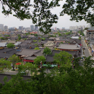 서울 출발: 4박 5일 대한민국 전역, 유네스코, 문화와 자연 솔직 후기 | 실사용자 리뷰 분석 - 상품 이미지 1