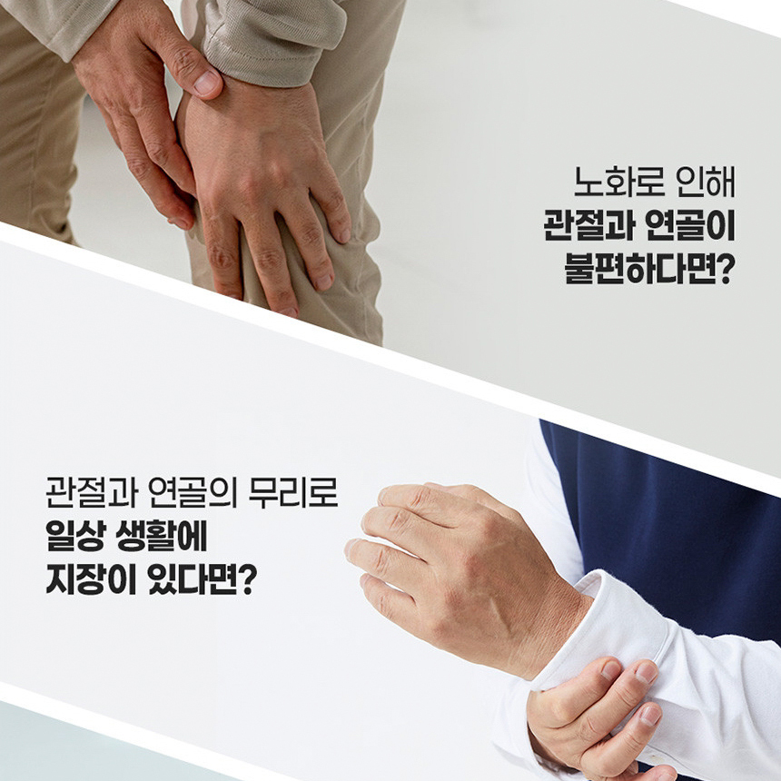 콘드로이친 1200 소연골 관절 연골 뮤코다당단백 이미지 3