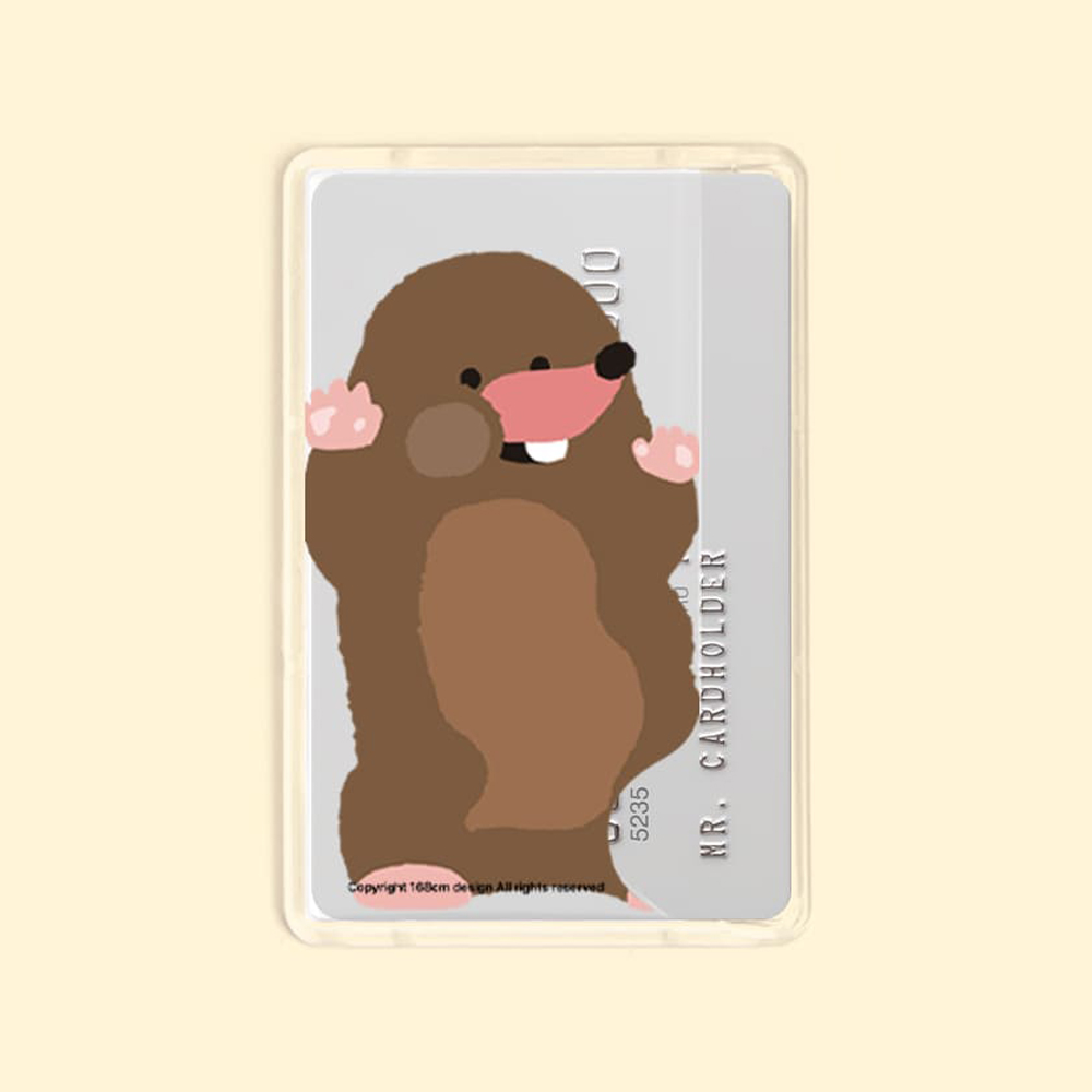 아이폰 맥세이프 카드지갑 투명 베이직 볼따구 두지