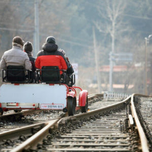 서울에서 출발: 루지 레이싱 또는 레일바이크와 함께하는 알파카 농장 방문 솔직 후기 | 실사용자 리뷰 분석 - 상품 이미지 2