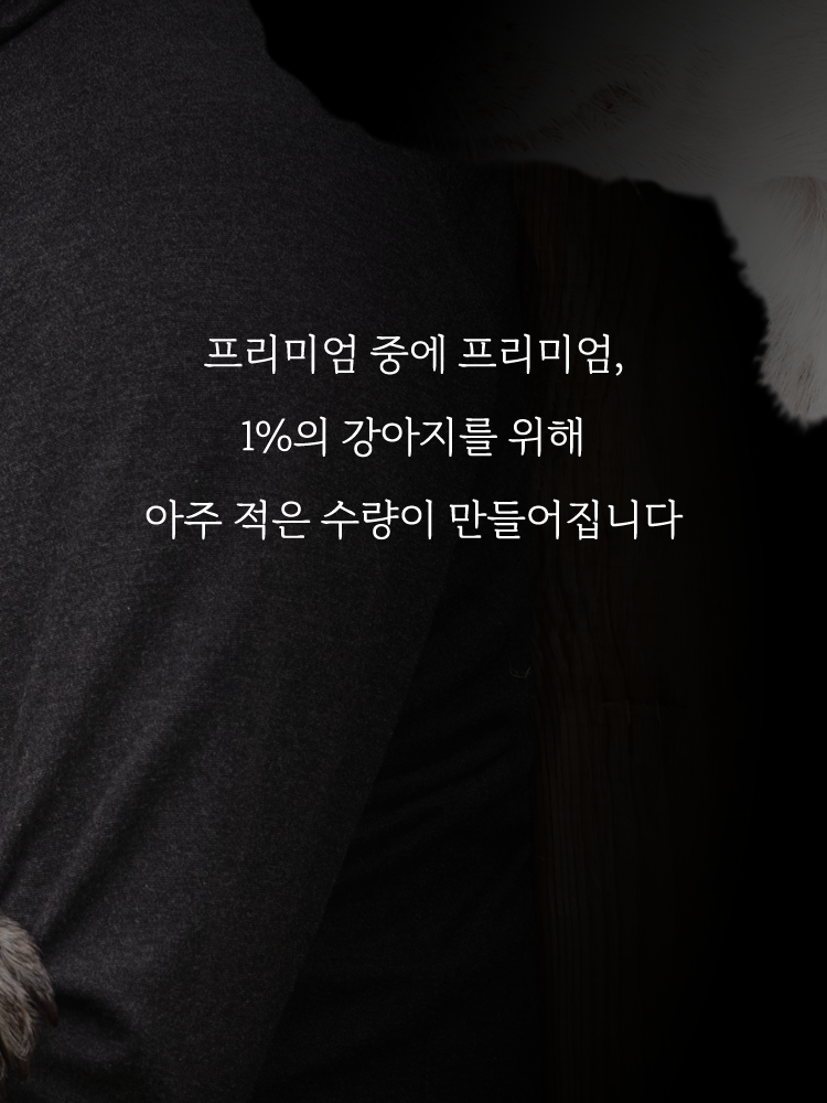 스위스 큘리 프리미엄 하네스 애플레더 에디션 이미지 8
