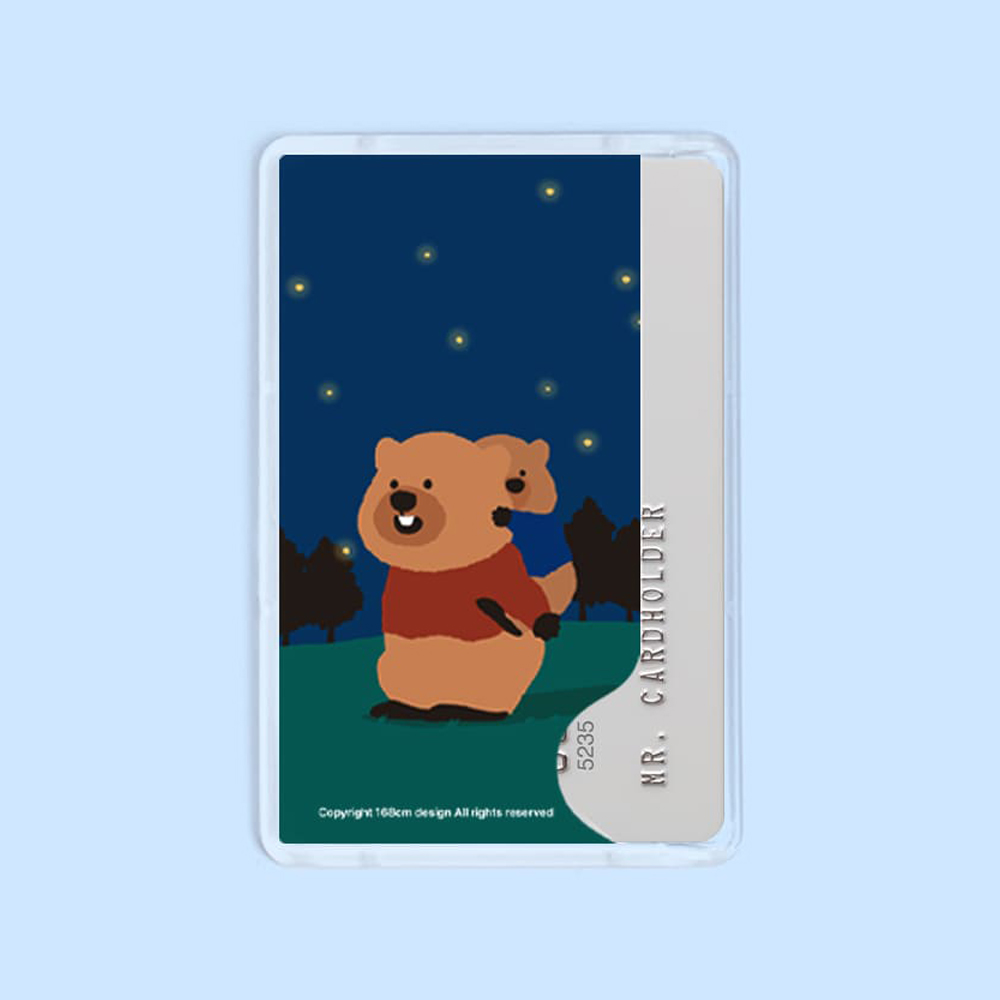 아이폰 맥세이프 카드지갑 투명 카드홀더  베이직 어부바 마동이