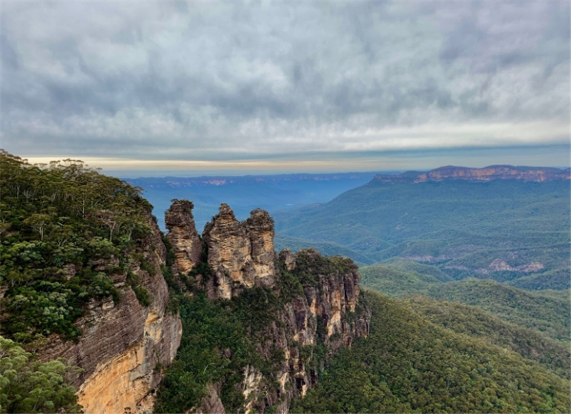 블루마운틴 일일 투어 솔직 후기 | 실사용자 리뷰 분석 - 대표 이미지