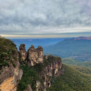 블루마운틴 일일 투어 솔직 후기 | 실사용자 리뷰 분석 - 상품 이미지 1