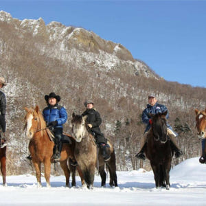 일본 [홋카이도 이색 체험] 삿포로 스노 호스 라이딩 (시내 픽업 포함) 솔직 후기 | 실사용자 리뷰 분석 - 상품 이미지 4