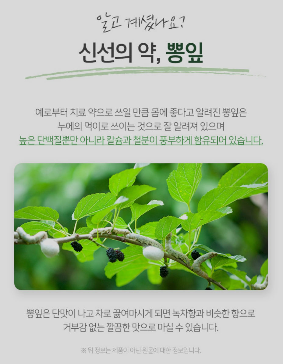 뽕잎 분말 파우더 뽕잎가루 고창 국내산 뽕잎차 - 상세 이미지 2