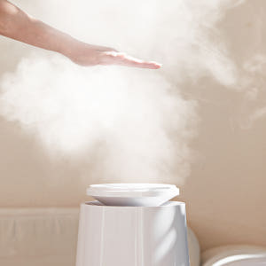 비엘홈 플렉스 살균 대용량 가습기 저온 신생아 통세척 초음파 가열식 듀얼 개봉기 | 실사용 후기 - 상품 이미지 1