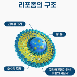 닥터브라이언 리포좀 비타민 C 높은 흡수율 비타민D 활력 뼈 건강 효능 ... 맛있게 먹은 솔직 후기 - 상품 이미지 4
