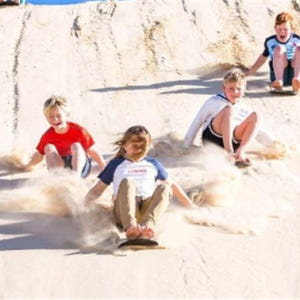 시드니  포트 스티븐스 일일 투어 (시드니 출발) 솔직 후기 | 실사용자 리뷰 분석 - 상품 이미지 1