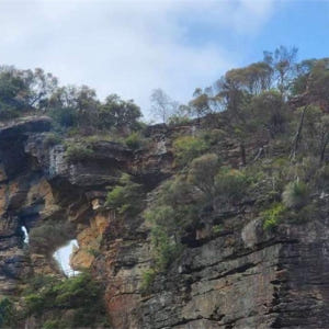 시드니  블루마운틴 일일 투어 + 리버 크루즈 (시드니 출발) 솔직 후기 | 실사용자 리뷰 분석 - 상품 이미지 4