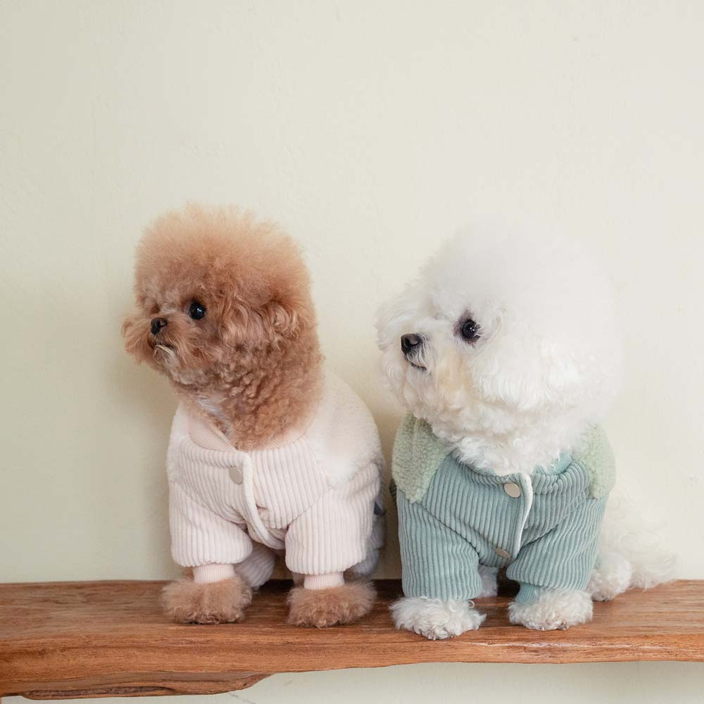 강아지올인원패딩 강아지겨울옷 로이올인원+실내복