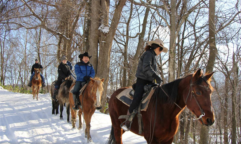 일본 [홋카이도 이색 체험] 삿포로 스노 호스 라이딩 (시내 픽업 포함) 이미지 2