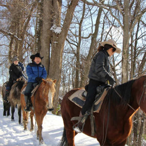 일본 [홋카이도 이색 체험] 삿포로 스노 호스 라이딩 (시내 픽업 포함) 솔직 후기 | 실사용자 리뷰 분석 - 상품 이미지 2