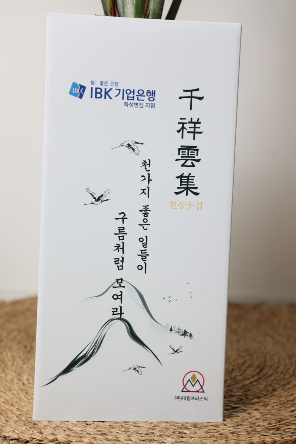 (안스리움) 합격 축하화분선물 개업문구 메세지화분 이미지 7