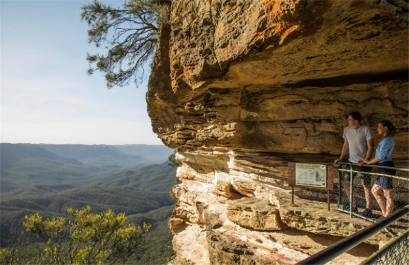블루마운틴 일일 투어 이미지 4